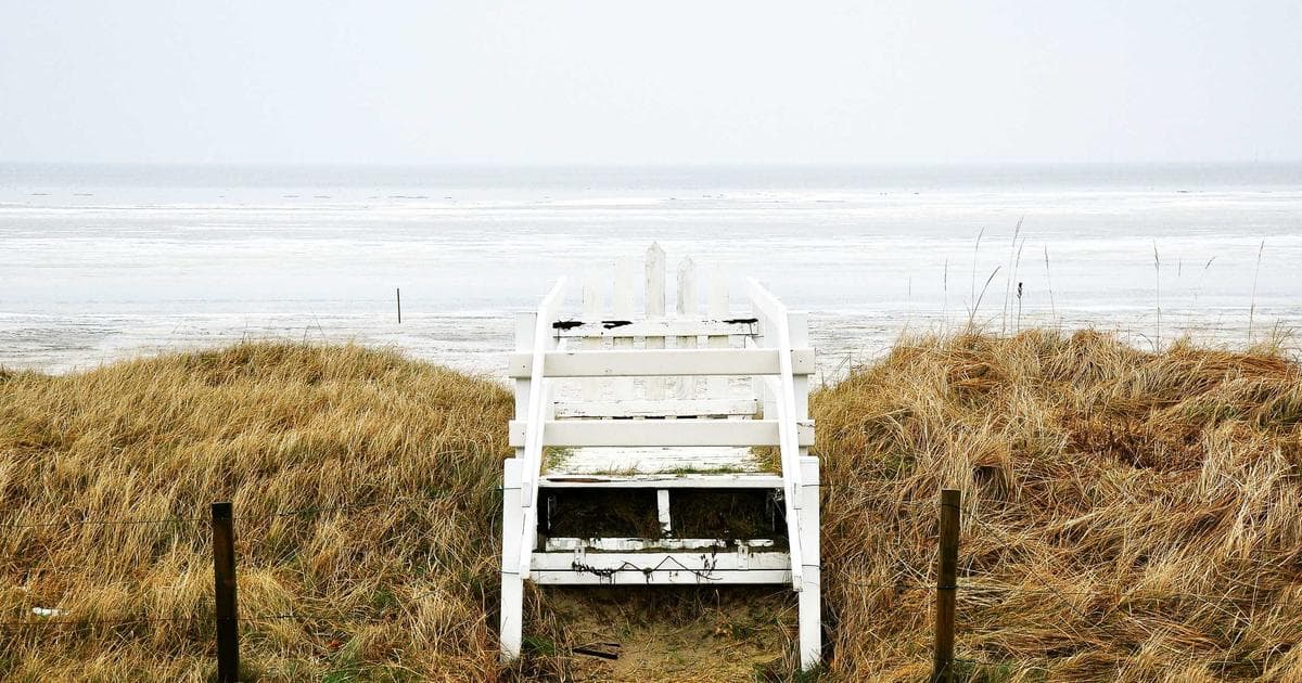 Testimonial API for Custom Integration: Technical Guide