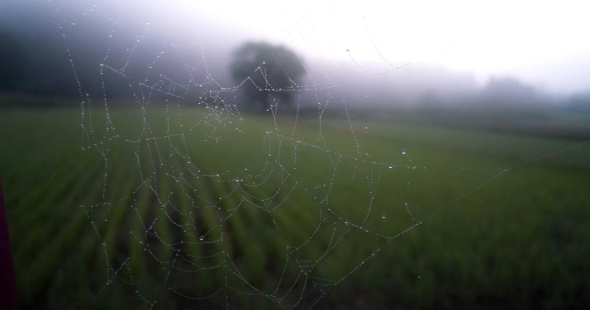 10 trucos para aumentar la tasa de respuesta de testimonios al 60%