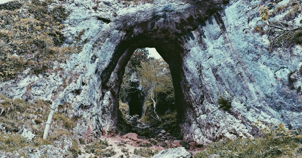 CDN for Faster Testimonial Widgets: Setup and Optimization