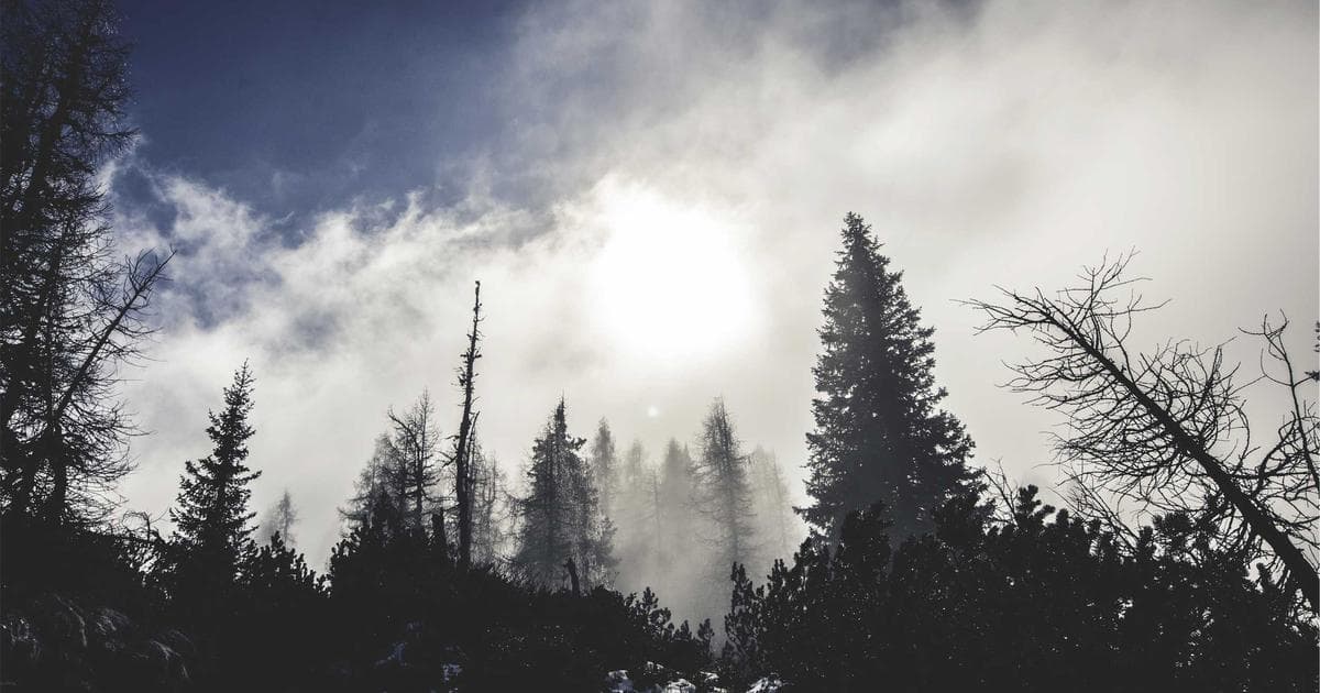 Cómo crear un programa de embajadores de marca con testimonios
