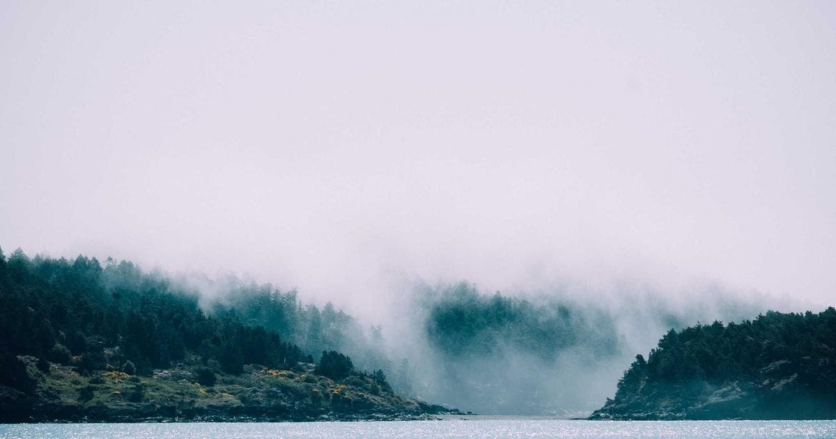 El futuro de las reseñas verificadas en 2028: predicciones y preparación