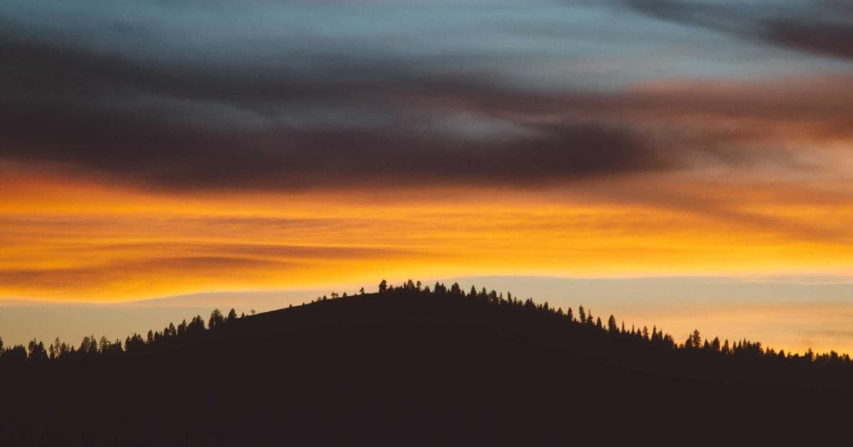 Microcopy para testimonios: las palabras que aumentan respuestas