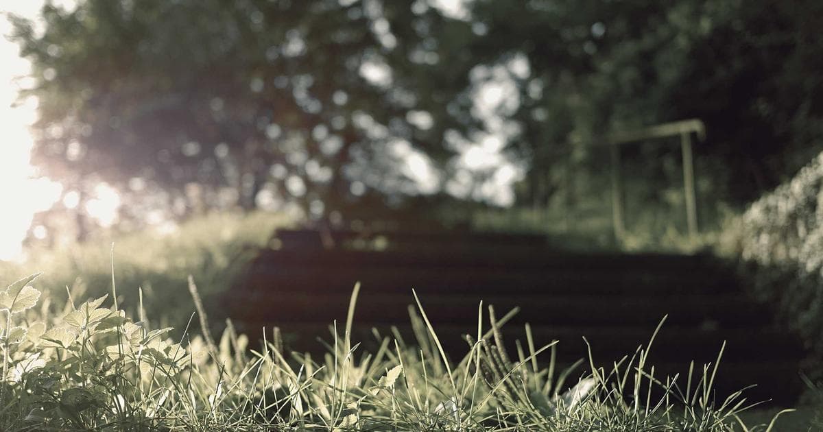 Real-Time Notifications for New Testimonials