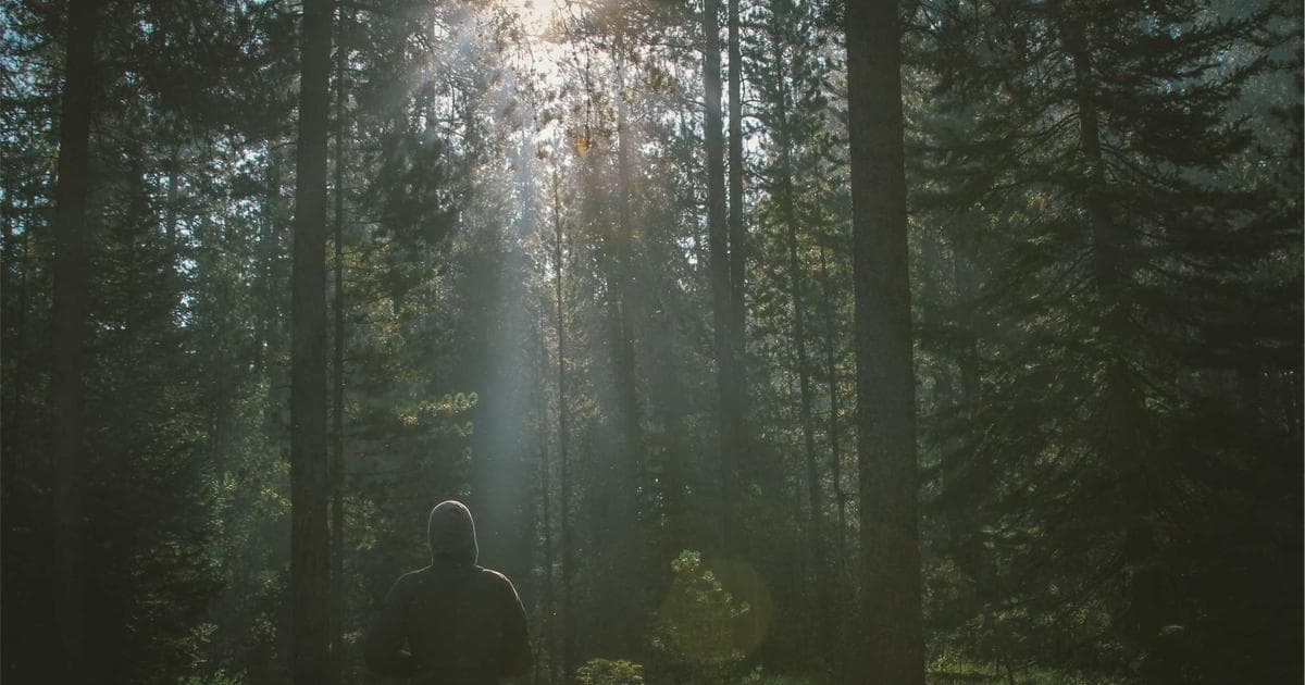 Optimizar el rendimiento del widget de testimonios: guía de velocidad