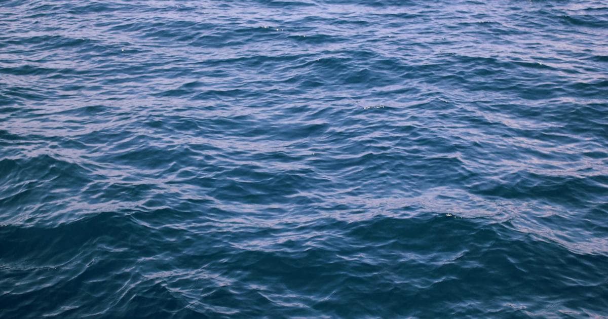 65 Testimonial Templates: How to Choose the Perfect One