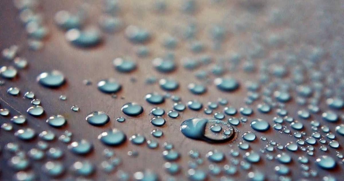 Shadow DOM para testimonios sin conflictos CSS: cómo funciona