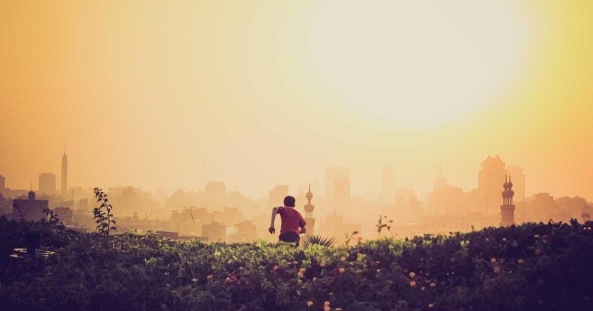 Testimonials for Specialized Veterinary Clinics: Complete Guide