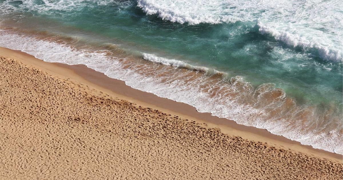 Testimonials for Business Schools: Academic Social Proof That Converts