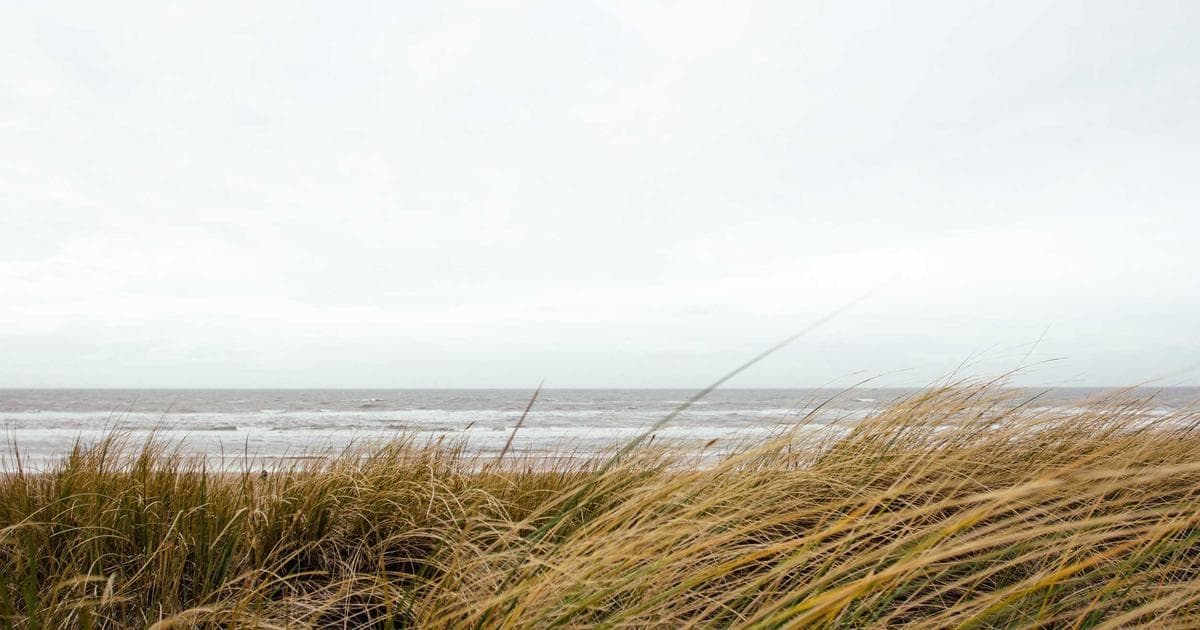 Testimonios vs Google My Business: complementos, no competencia