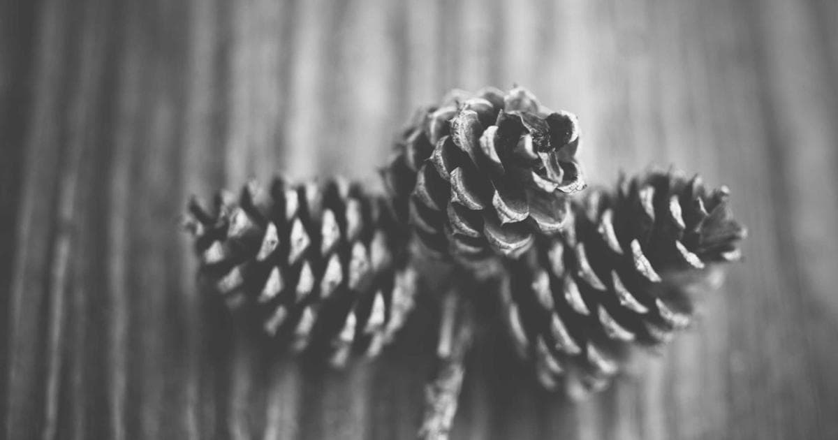 Cómo conseguir testimonios de influencers y microinfluencers