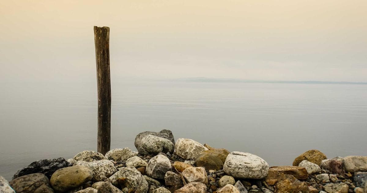 Multi-Language Testimonials for Global Businesses