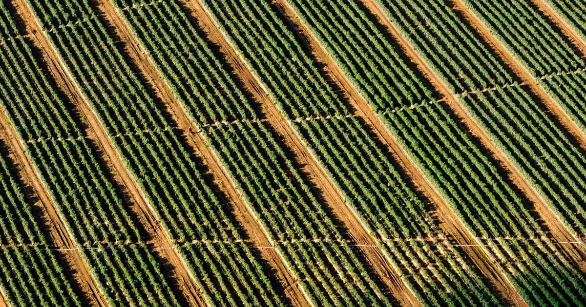 Testimonios para podcast marketing: convierte oyentes en clientes