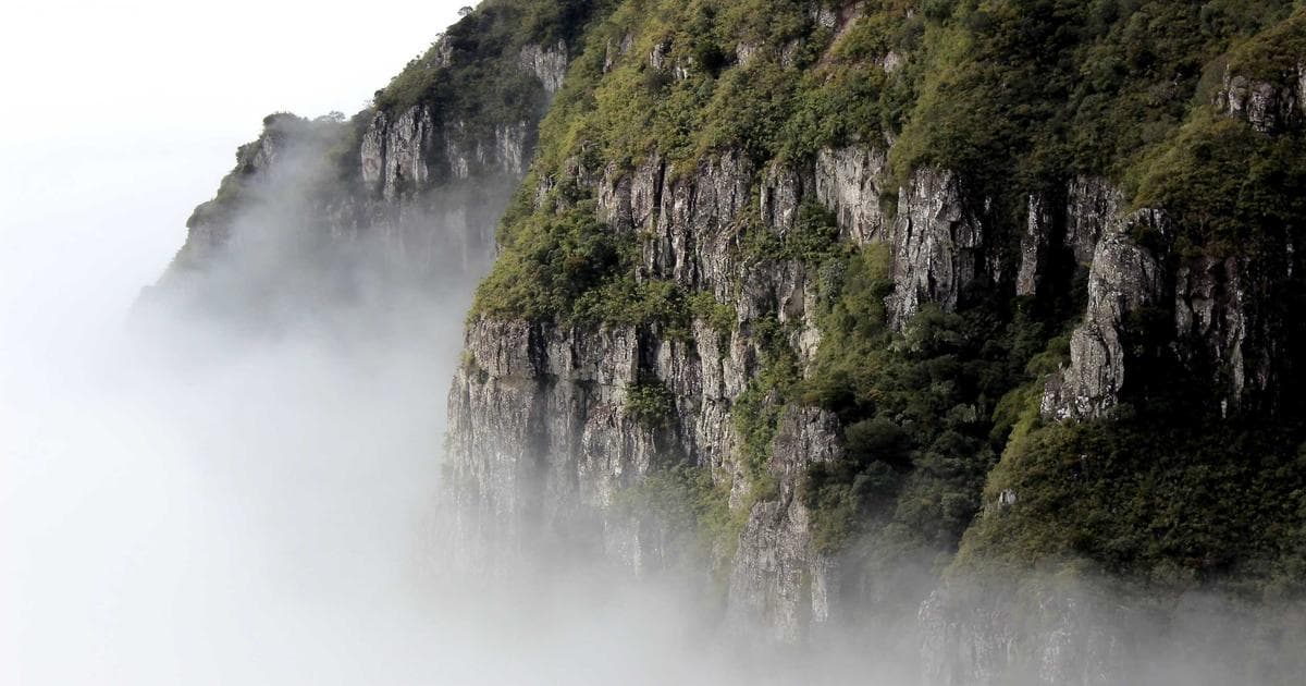 Testimonios en el sector educativo: universidades, cursos y bootcamps