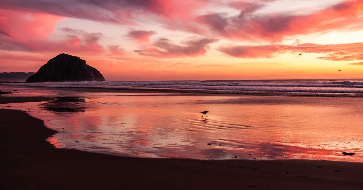 Testimonials for Eco-Friendly Stores: How to Build Green Trust