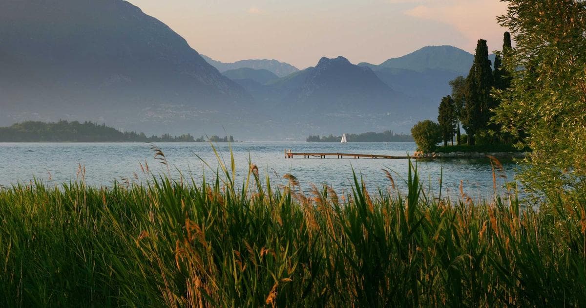 Testimonios verificados vs anónimos: ¿cuál genera más confianza?