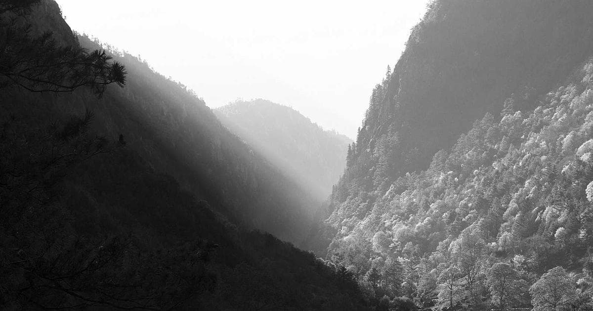 Testimonios en video por webcam: máxima autenticidad garantizada